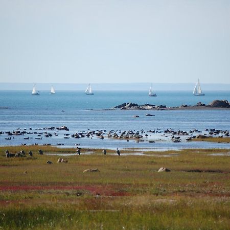 Motel Au Soleil Couchant Rimouski Esterno foto