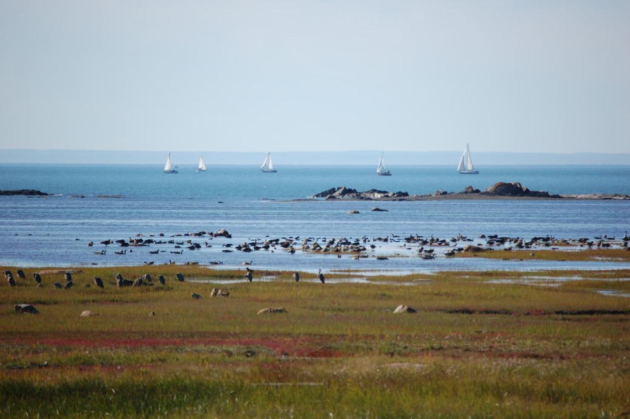 Motel Au Soleil Couchant Rimouski Esterno foto